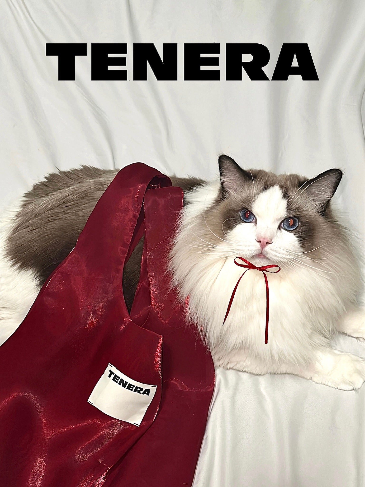 クリスマスレッド)バレリーナショルダーバッグ-TENERAバレエ 
