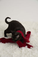 (レッド)フェイクファー スキニースカーフ-TENERA アクセサリーコレクション